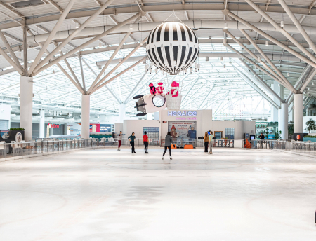 Проектирование ледовых катков и арен